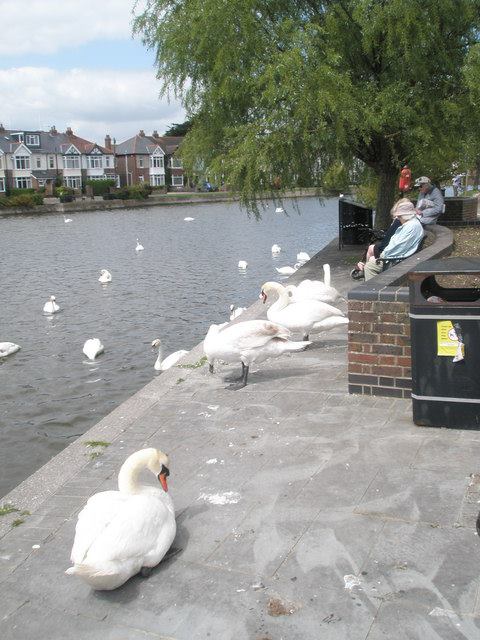 The Mill Pond at Emsworth